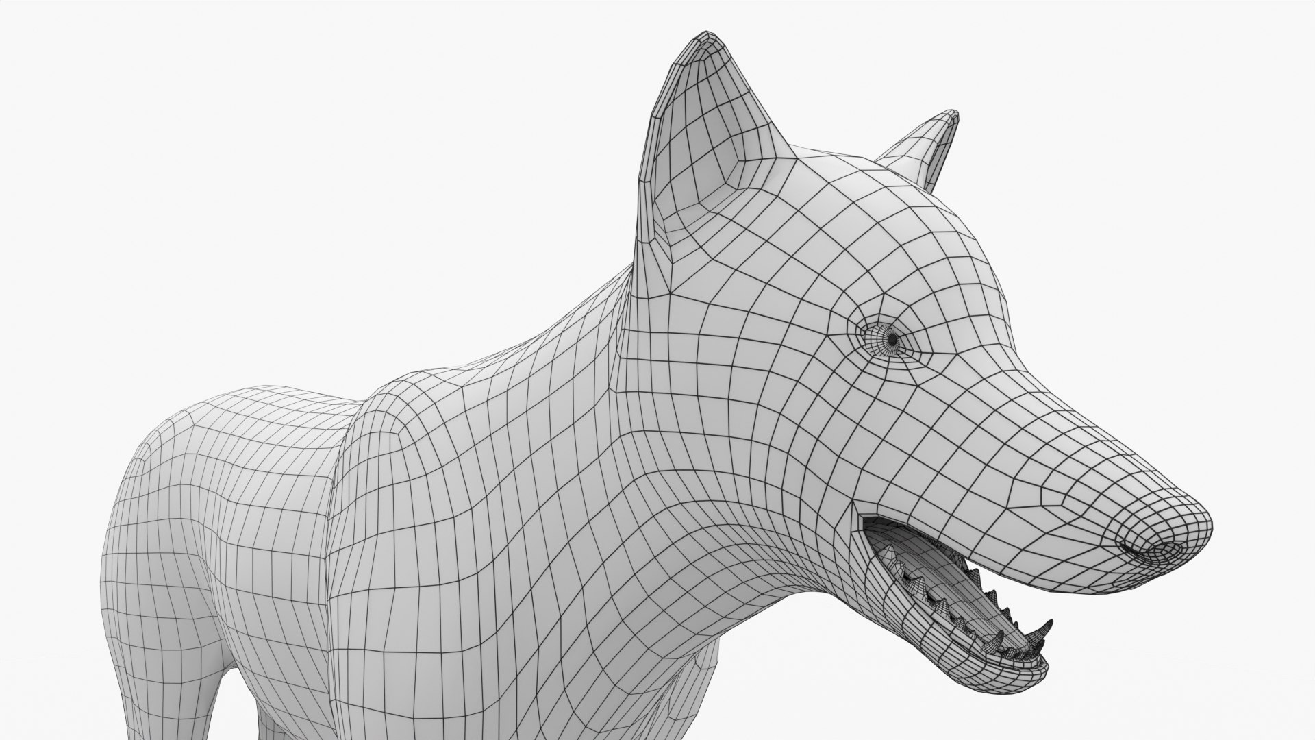Gray Wolf 3D model https://p.turbosquid.com/ts-thumb/8c/lCRPtr/xn/img_14/jpg/1709061226/1920x1080/fit_q87/ddfe487f1d21acf23f56afde26ff336189c19ea1/img_14.jpg