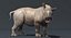 Rhino Baby (manipuliert)