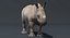 Rhino Baby (manipuliert)