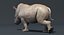 Rhino Baby (manipuliert)