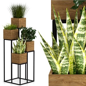 indoor plants pots model
