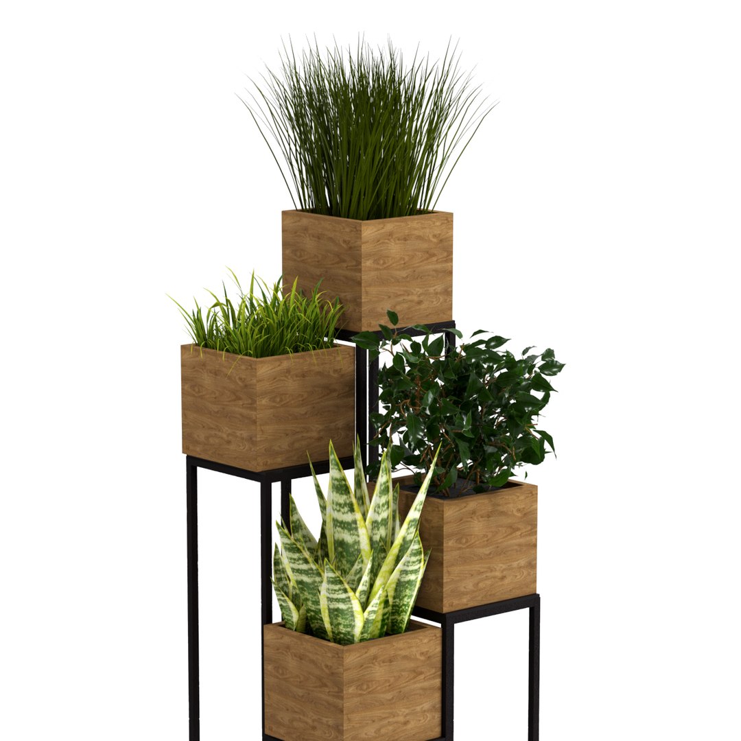 indoor plants pots model https://p.turbosquid.com/ts-thumb/8d/9V4NEl/bMgkc17r/preview2/jpg/1609770192/1920x1080/fit_q87/46c96dc7547810781e38916858b8a863312a4c17/preview2.jpg