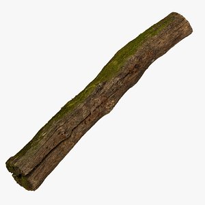 3D Broken Trunk Piece 01 RAW Scan