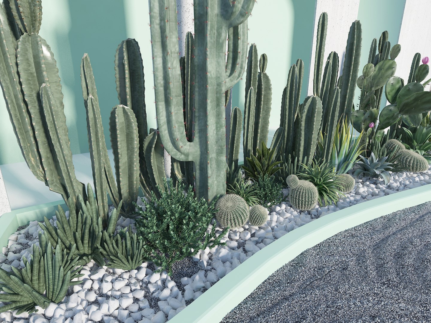 3D Cactus succulent net red punch in https://p.turbosquid.com/ts-thumb/8d/SeXfPk/A1/cactusplantpilesucculentlandscapedesignarchwallinternetcelebritycheckinlandscapewallphotographybase_a02/jpg/1705649538/1920x1080/fit_q87/38a7b404b995e34206d21eb8bbe22bee7e834174/cactusplantpilesucculentlandscapedesignarchwallinternetcelebritycheckinlandscapewallphotographybase_a02.jpg