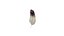 Feather