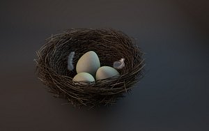 bird s nest 3d c4d