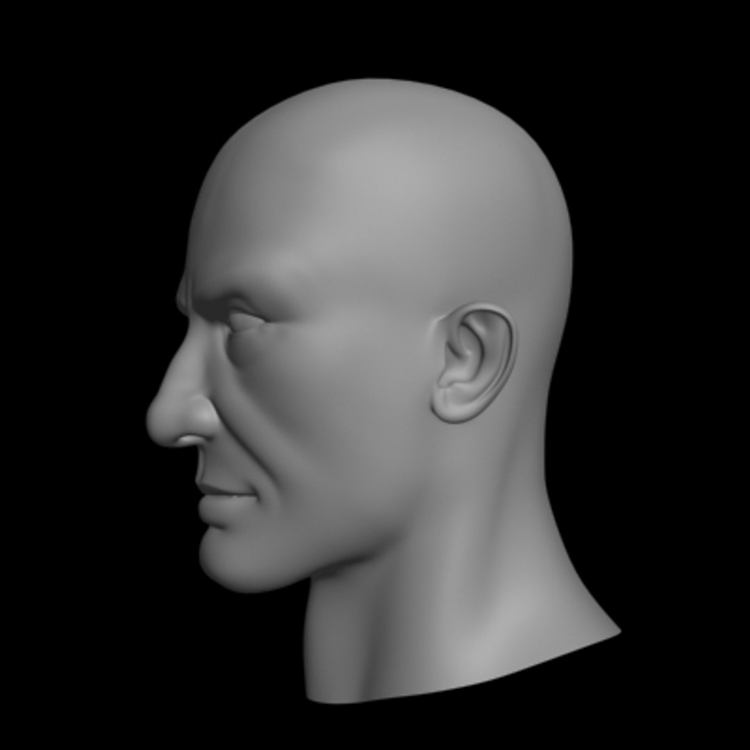 Polygonal Male Head 3d Model