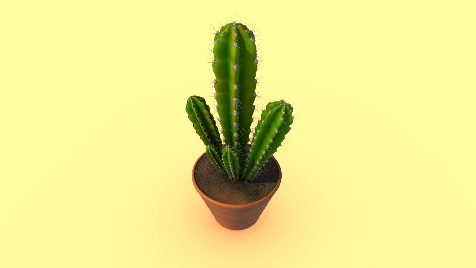 Cactus Cleistocactus Strausii 3D Model - TurboSquid 2185759