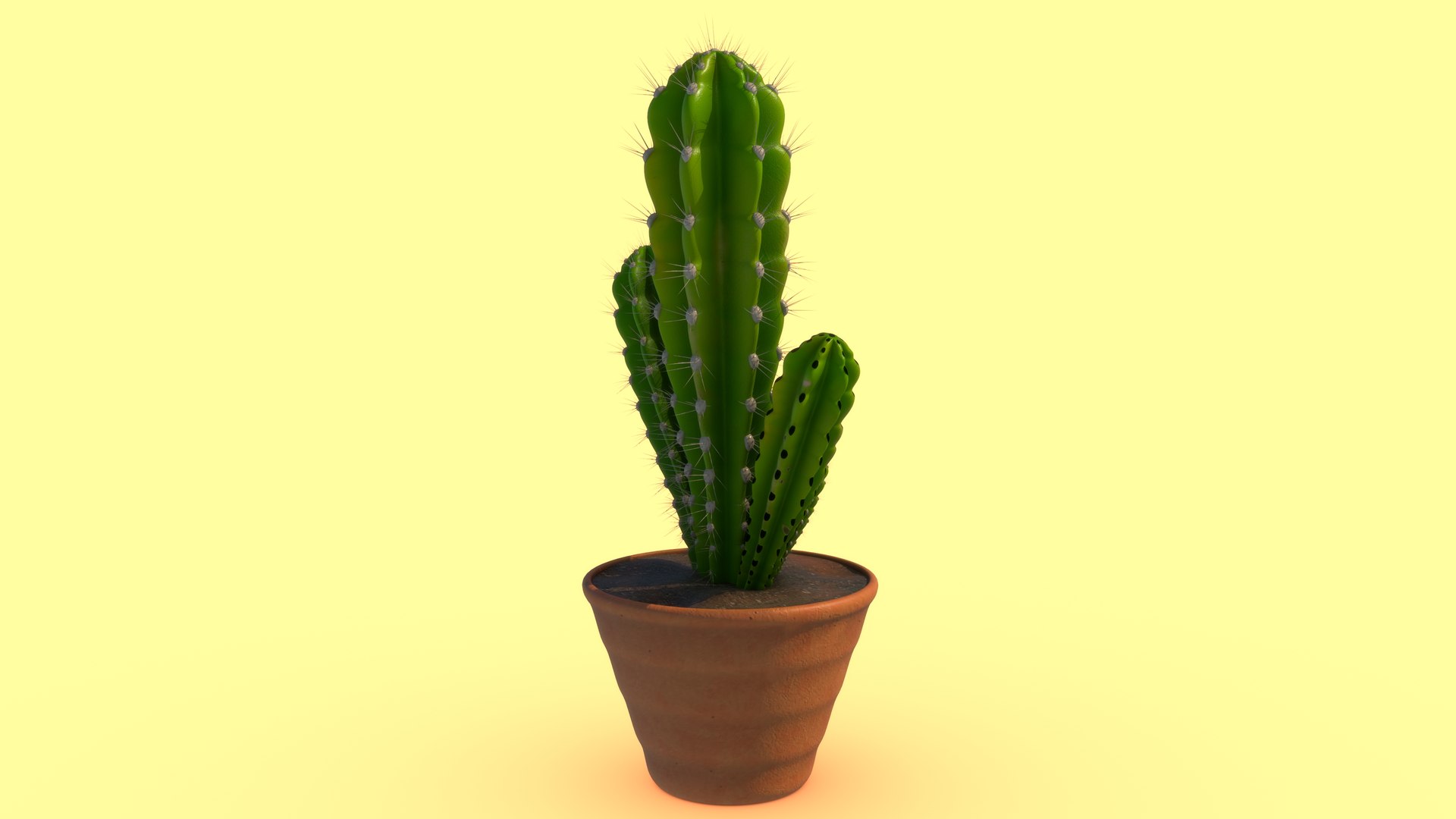 Cactus Cleistocactus Strausii 3D Model - TurboSquid 2185759