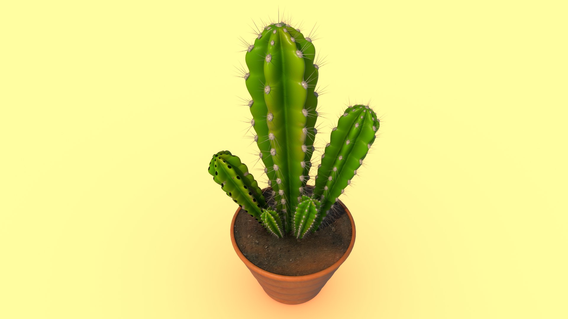 Cactus Cleistocactus Strausii 3D Model - TurboSquid 2185759