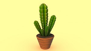 Cactus Cleistocactus strausii 3D model