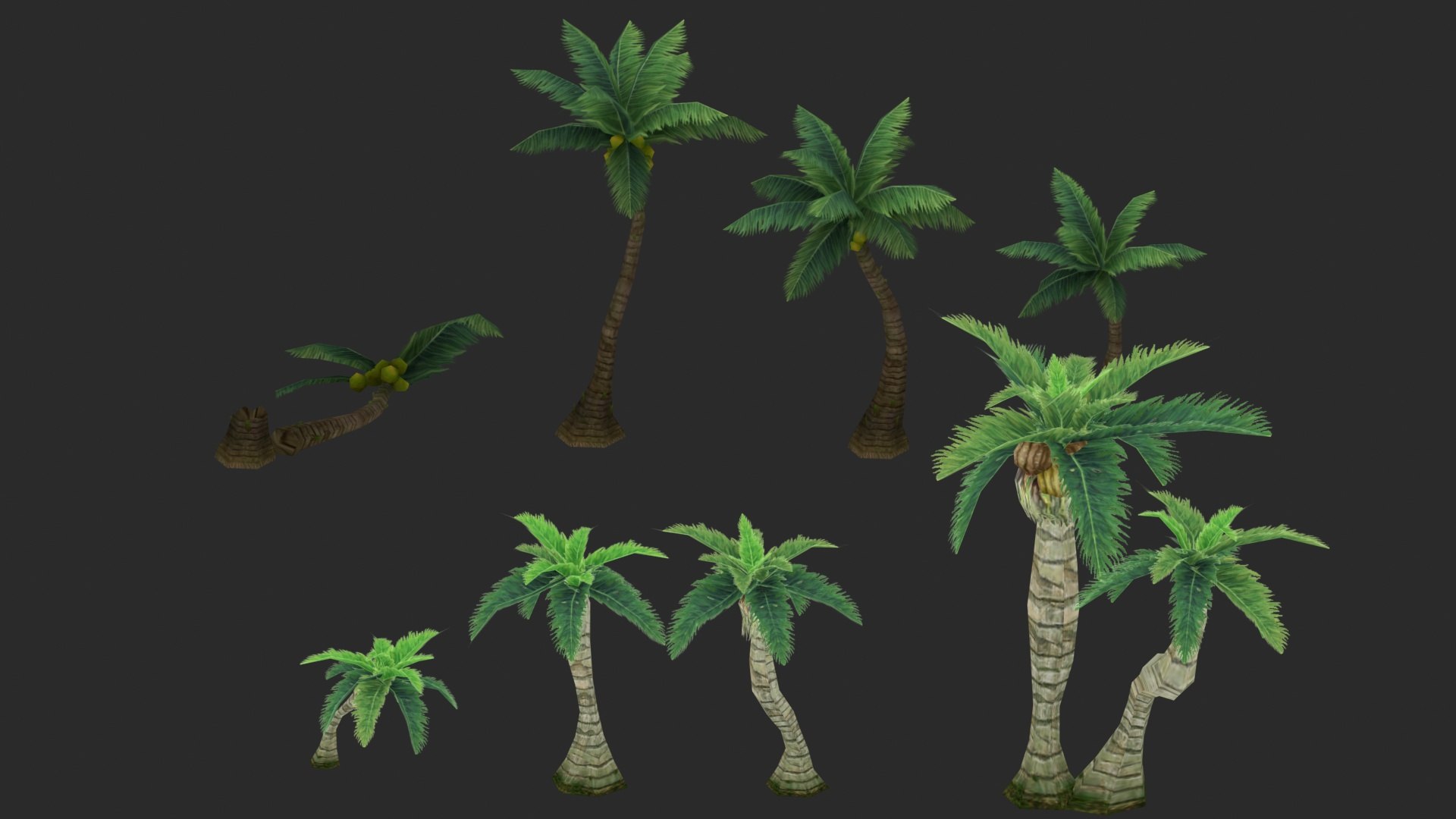 Coconut Tree Model - TurboSquid 1789875