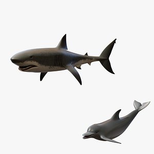 Dolphin and Shark - Rigged Animated PBR