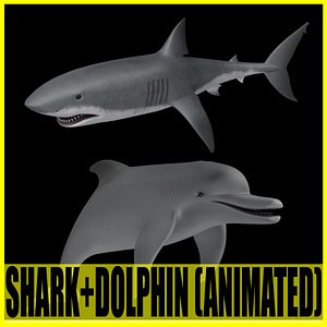 3d model shark dolphin animation