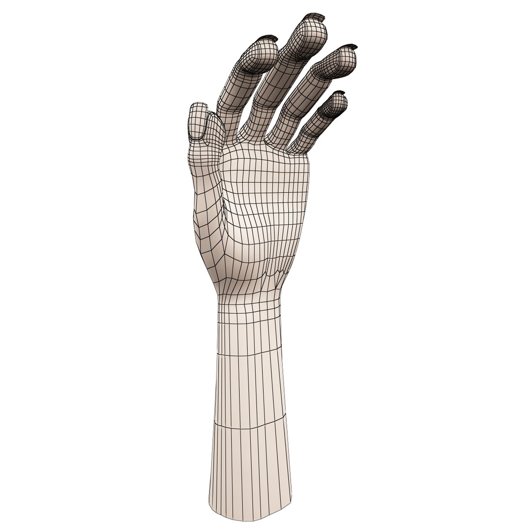 Hand Rigged 3d Model