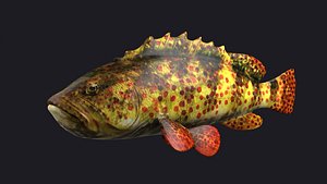 giant grouper fish low poly game fish bass coralgrouper 3D model