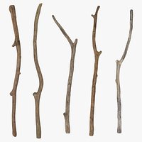 5 Sticks