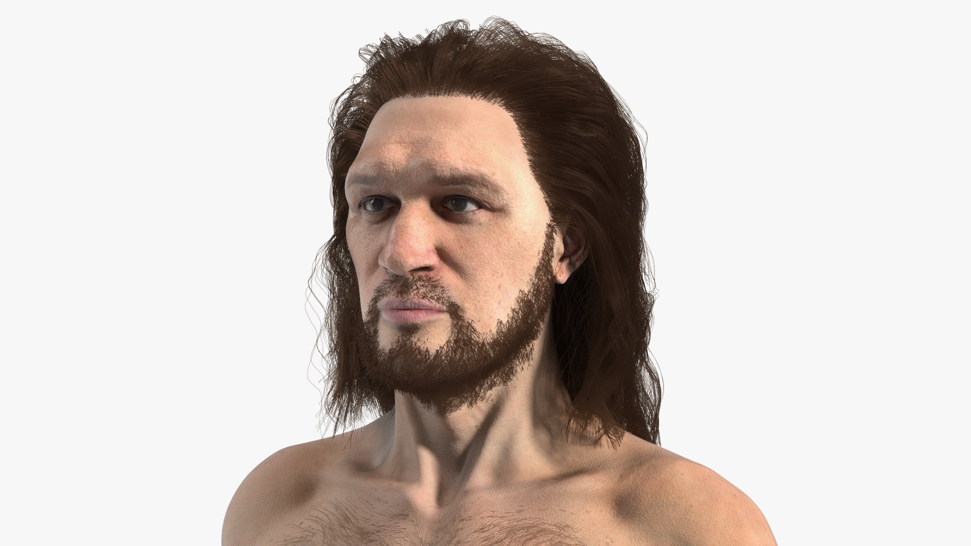 Cromagnon Man Rigged Fur 3D model preview