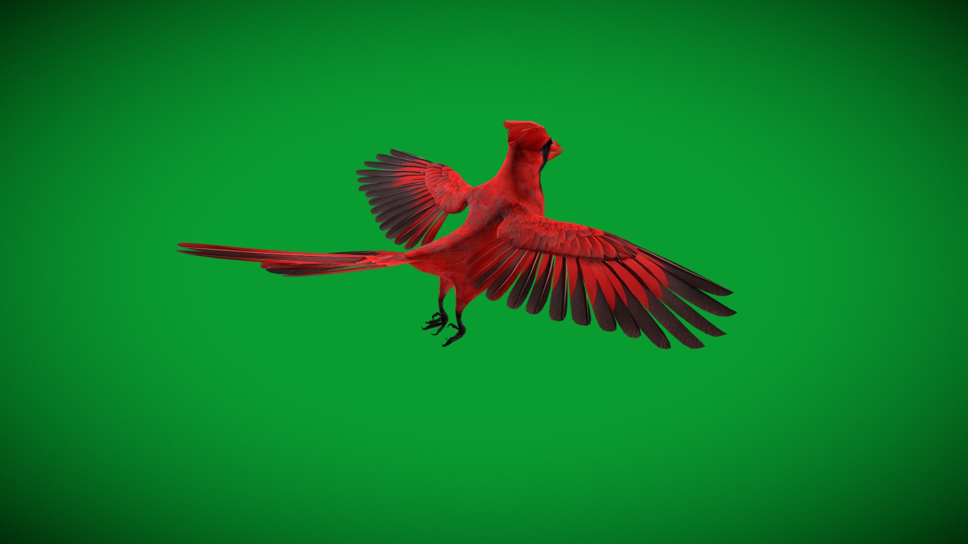 3D Northern Cardinal Bird https://p.turbosquid.com/ts-thumb/8e/vhoi2P/06/red_northern_cardinal30/png/1775953870/1920x1080/fit_q87/3741534154a0fd9c050e5625c30ef2cdd3d0bf81/red_northern_cardinal30.jpg