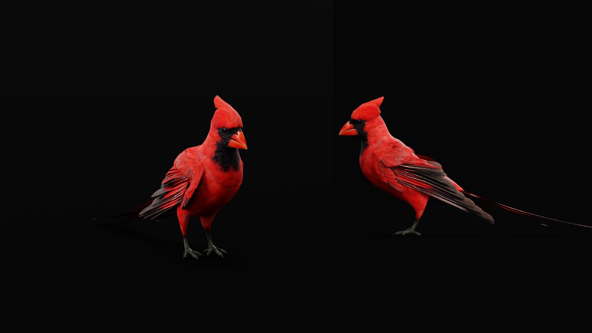 3D Northern Cardinal Bird https://p.turbosquid.com/ts-thumb/8e/vhoi2P/B2/red_northern_cardinal12/png/1775953848/1920x1080/fit_q87/3273eefa42445d4b80147a69162470257a7c0262/red_northern_cardinal12.jpg