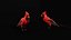 Cardinal rouge du Nord