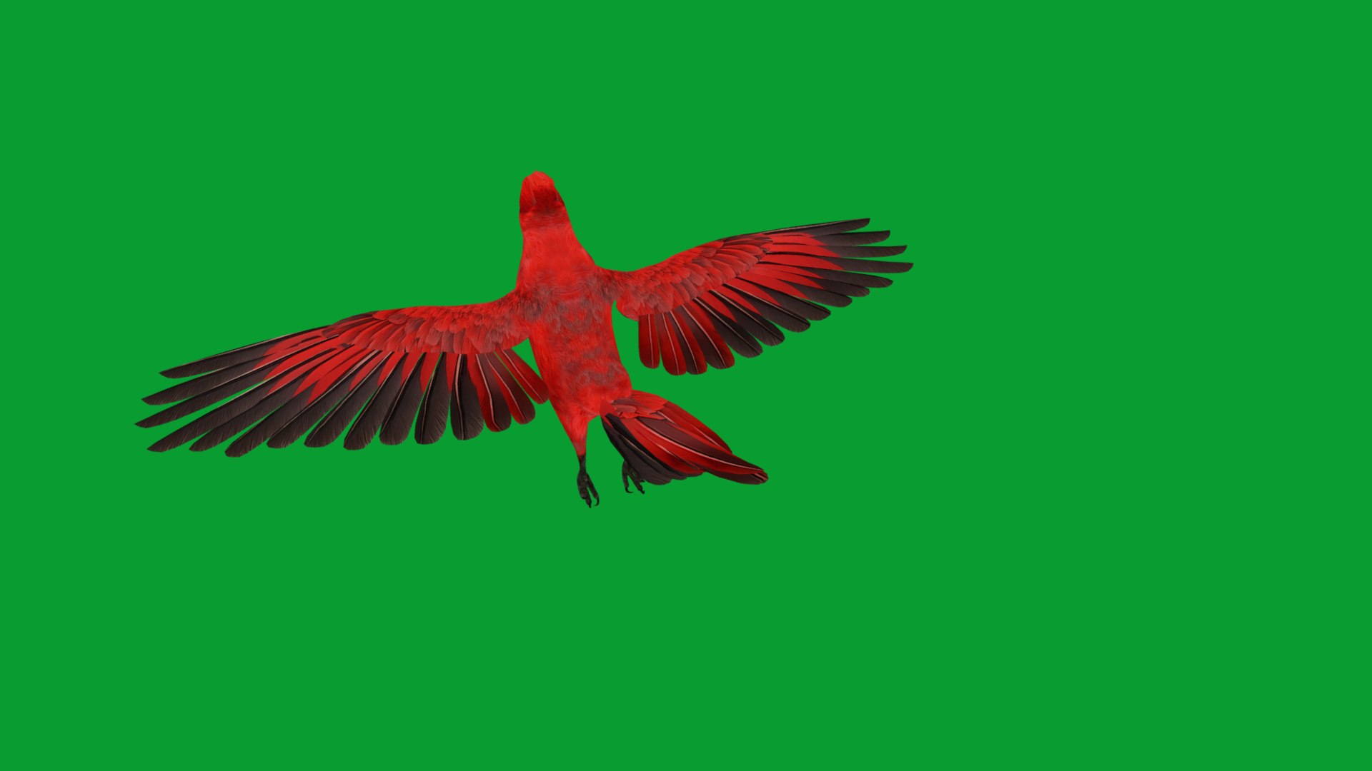 3D Northern Cardinal Bird https://p.turbosquid.com/ts-thumb/8e/vhoi2P/R1/red_northern_cardinal9/png/1775953844/1920x1080/fit_q87/26d412b14d5d1c257c06a8e5e387309419b4cc47/red_northern_cardinal9.jpg