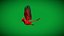 Cardinal rouge du Nord