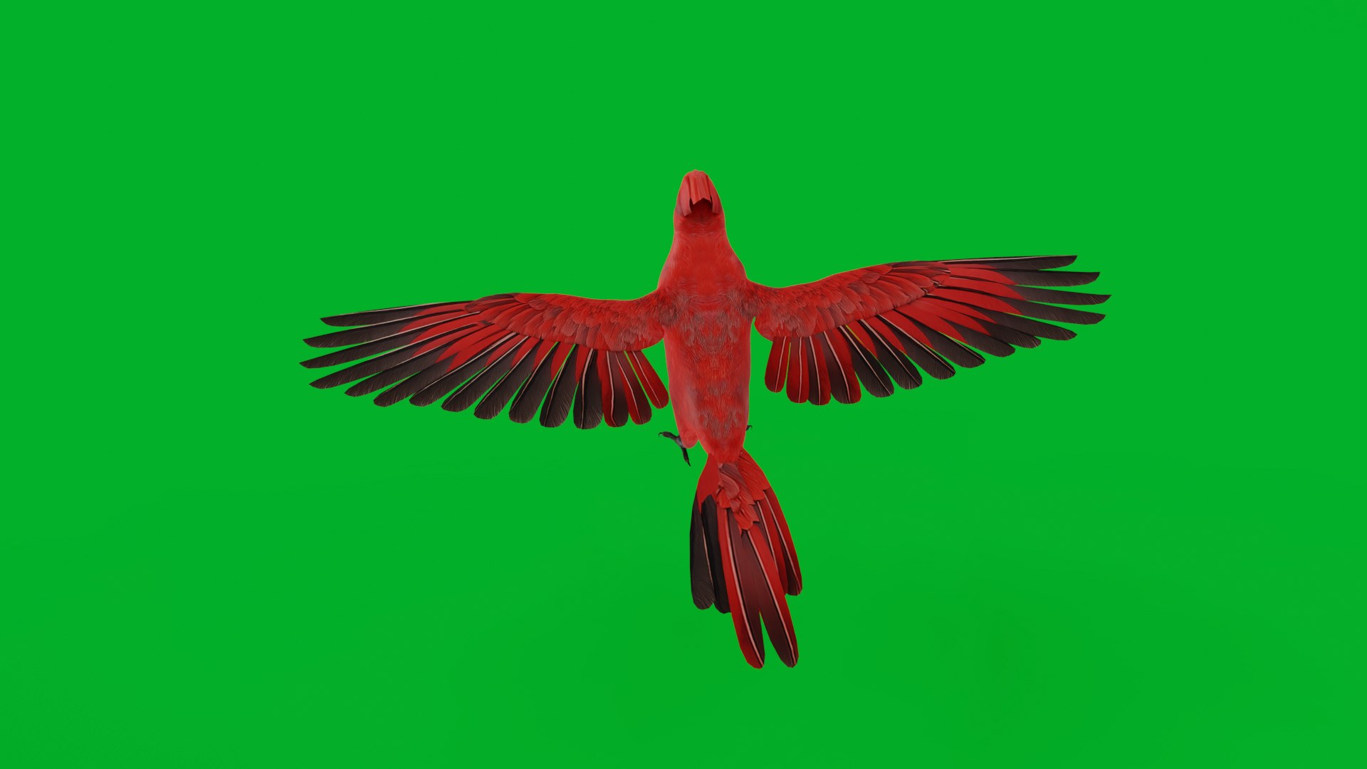 3D Northern Cardinal Bird https://p.turbosquid.com/ts-thumb/8e/vhoi2P/gB/northern_cardinal_bird41/png/1775953828/1920x1080/fit_q87/c7c34446d8409edf0e1a77321d5efd15f418377d/northern_cardinal_bird41.jpg