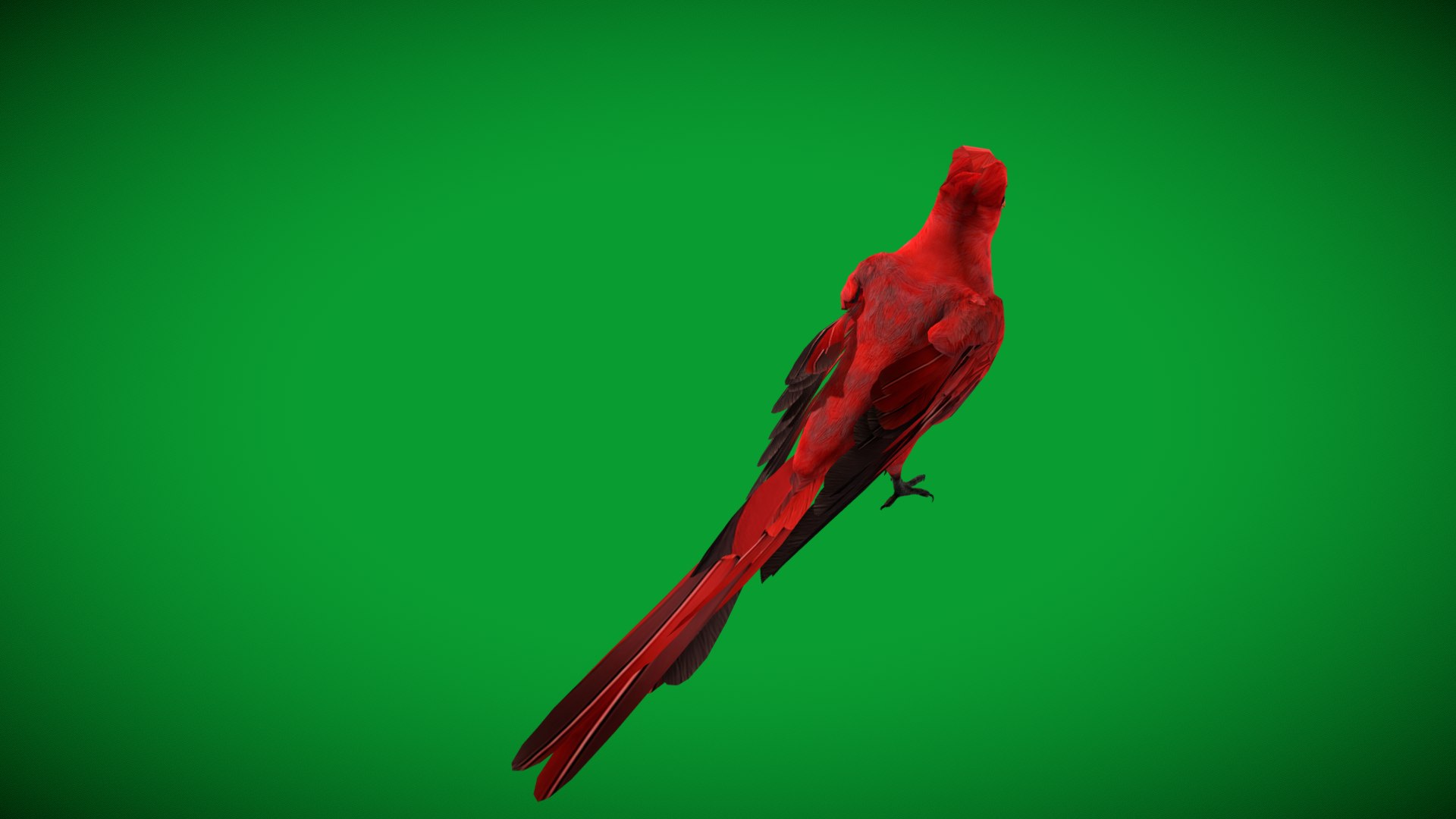 3D Northern Cardinal Bird https://p.turbosquid.com/ts-thumb/8e/vhoi2P/ln/red_northern_cardinal25/png/1775953867/1920x1080/fit_q87/b12210b8766a20958e748c895d6c5e7b0d5e940d/red_northern_cardinal25.jpg