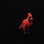Cardinal rouge du Nord