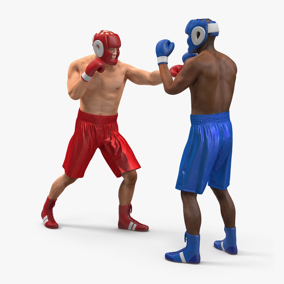 Boxers Fighting 3D model preview