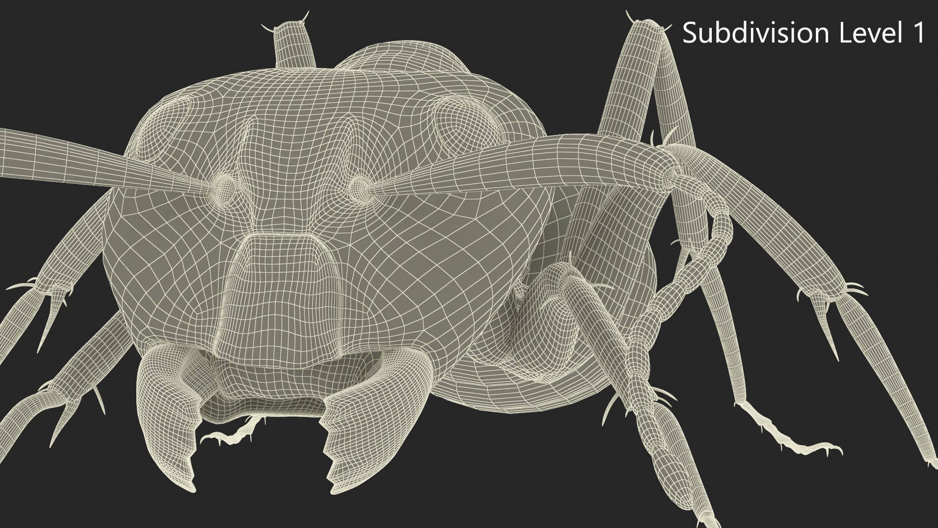 Realistic Red Ant 3D model https://p.turbosquid.com/ts-thumb/8f/PoT9dN/7s/realistic_red_ant_011/jpg/1735111282/1920x1080/fit_q87/182cf0315e110901259de0dd26f66b4b74fc6444/realistic_red_ant_011.jpg