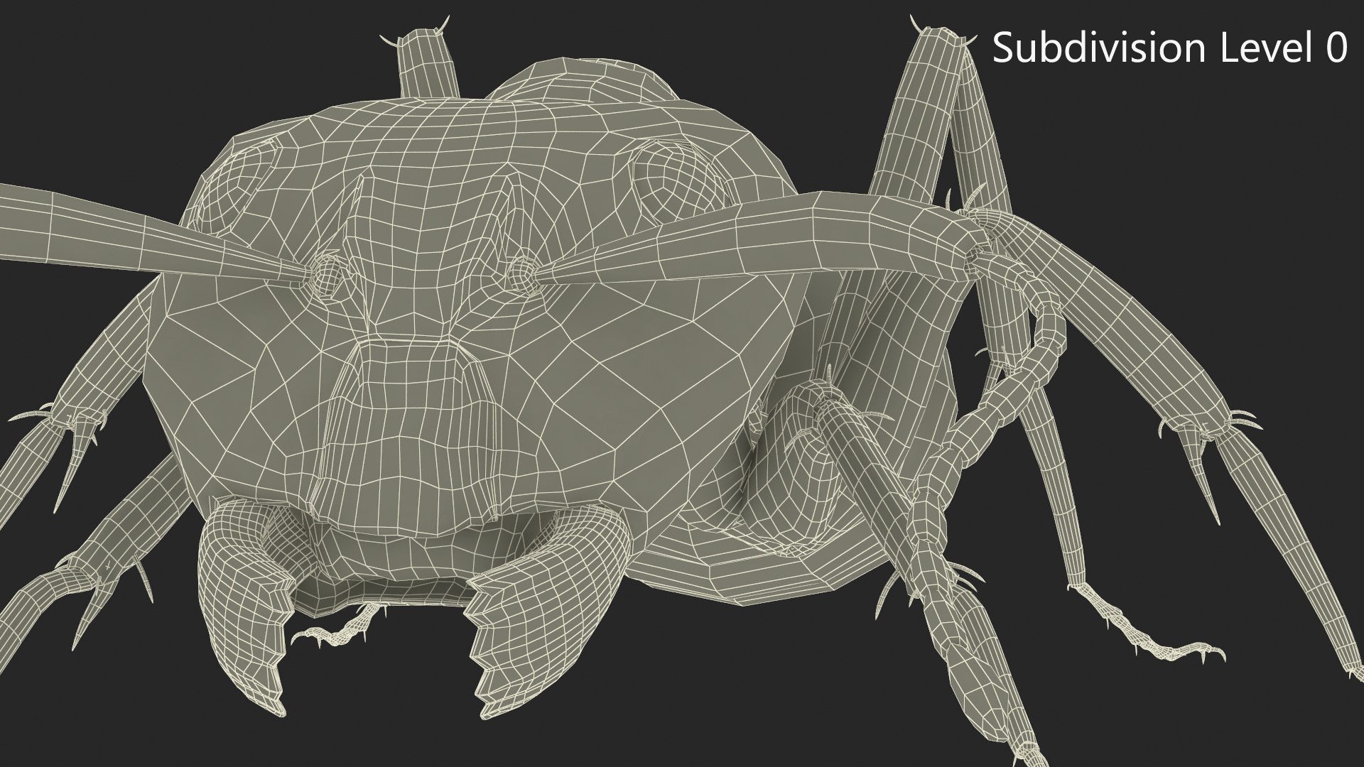 Realistic Red Ant 3D model https://p.turbosquid.com/ts-thumb/8f/PoT9dN/Bc/realistic_red_ant_010/jpg/1735111280/1920x1080/fit_q87/88b23fb69fd8df3f41045d22343ed03a2bd5528e/realistic_red_ant_010.jpg