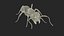 Realistic Red Ant 3D model