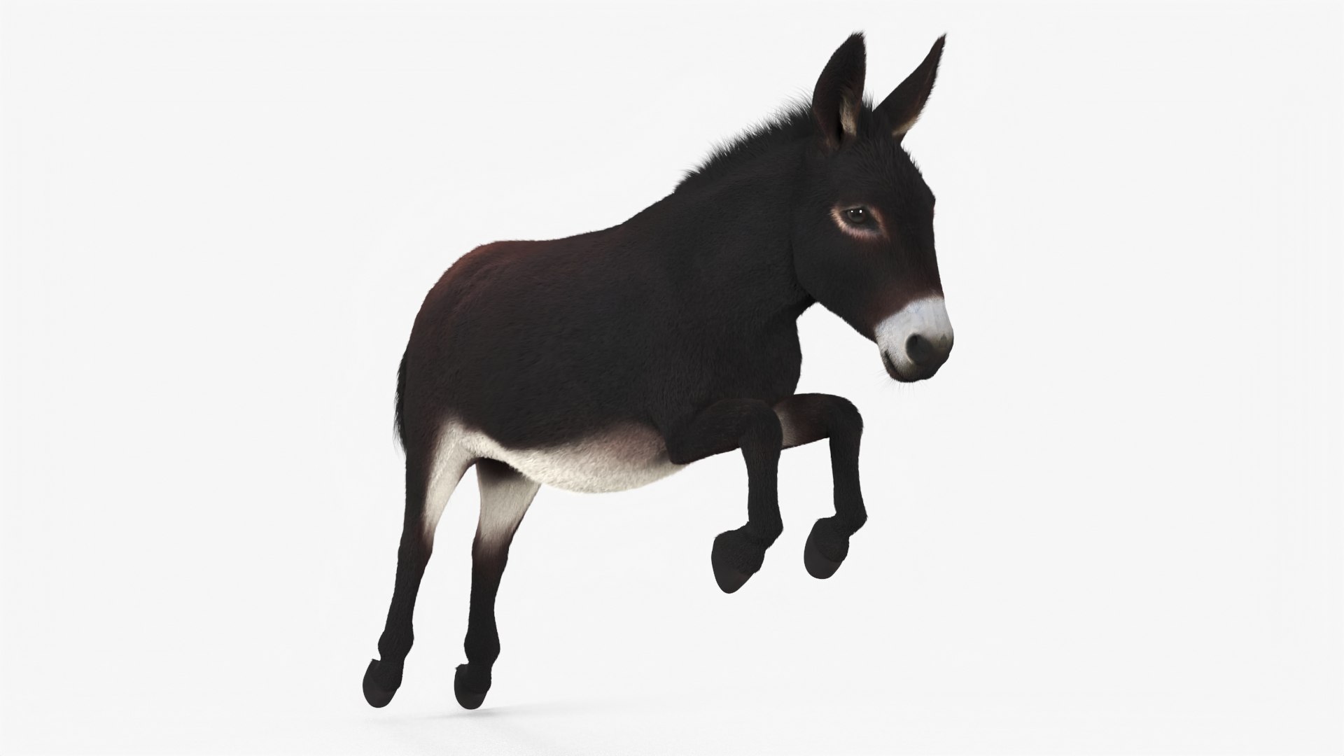 Village Load Donkey Dark Brown Fur Rigged 3D model preview
