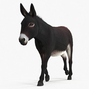 3D Village Load Donkey Dark Brown Fur Rigged model