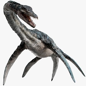Elasmosaurus Rigged 3D 3D model