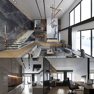 3D model Luxury Loft Apartment Interior