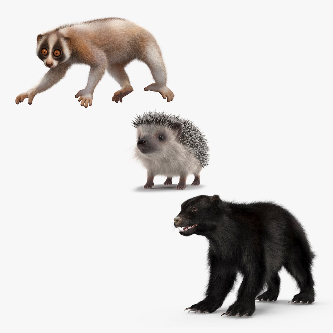 Land Mammals Fur Collection 3D model preview
