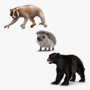 Land Mammals Fur Collection 3D model