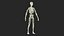 3D Skeletal and Circulatory System Rigged for Maya