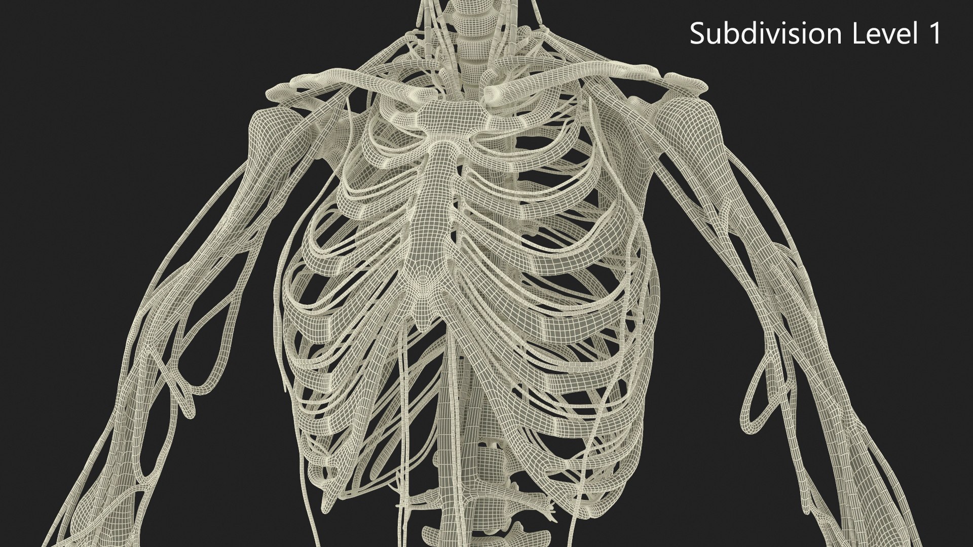3D Skeletal and Circulatory System Rigged for Maya https://p.turbosquid.com/ts-thumb/8f/r5dbzW/nQ/skeletal_and_circulatory_system_rigged_017/jpg/1763354845/1920x1080/fit_q87/51effb4d51985205fc4ba4242e98c1bf8902ec5a/skeletal_and_circulatory_system_rigged_017.jpg