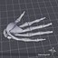 human hand 3d max