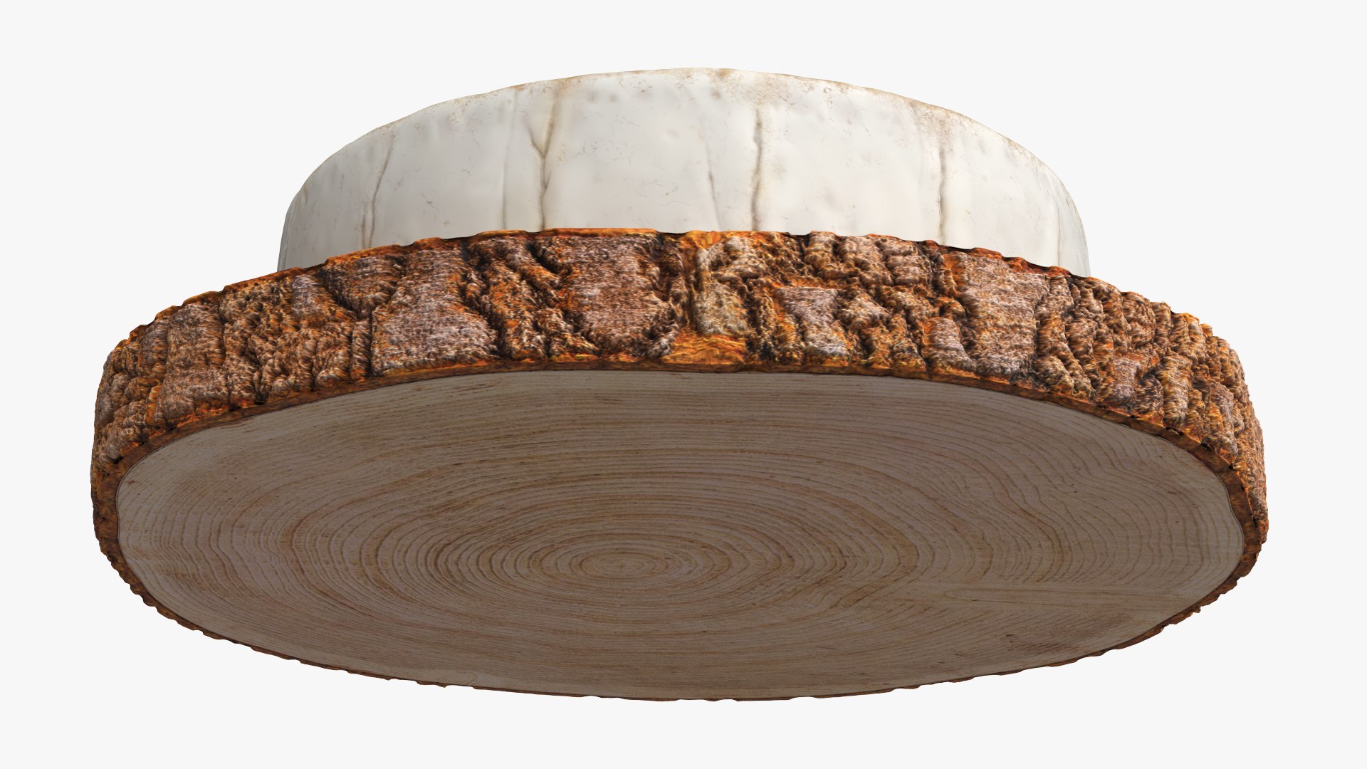 3D Round Brie Cheese with Rosemary on Rustic Board https://p.turbosquid.com/ts-thumb/8f/twdNgQ/J3/round_brie_cheese_with_rosemary_on_rustic_board_005/jpg/1779297046/1920x1080/fit_q87/5a5e40bfd2fffaa5cfd4edc8eb7b2194a3498808/round_brie_cheese_with_rosemary_on_rustic_board_005.jpg