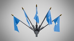 Wall Mount Flags 5 Of Somalia model