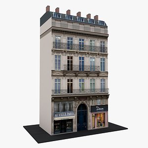 Typical Parisian Apartment Building 12