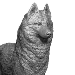 husky realistic 3D model