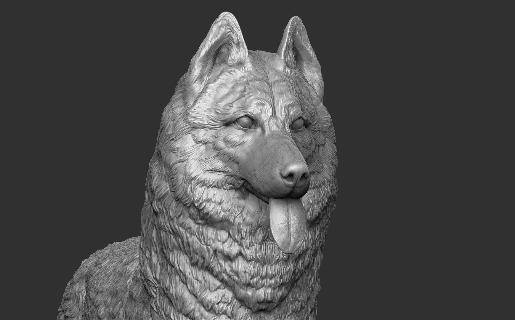 Husky Realistic 3D Model - TurboSquid 1290530