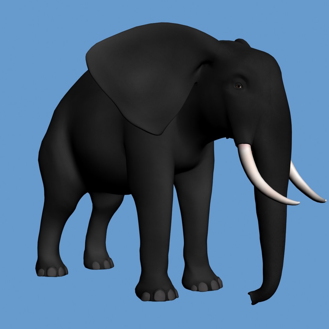 Black Wild Elephant 3d 3ds
