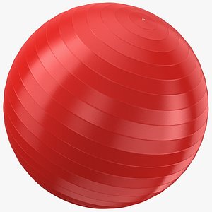 Exercise Yoga Ball 02